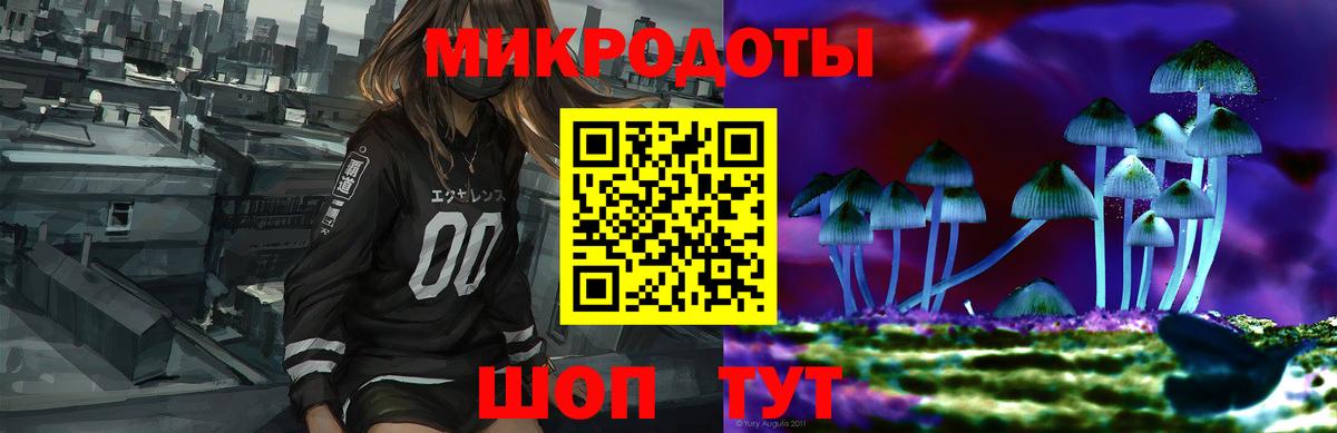 Заводоуковск  Псилоцибиновые грибы Psilocybe  Вход с VPN  Псилоцибиновые грибы ЛСД 