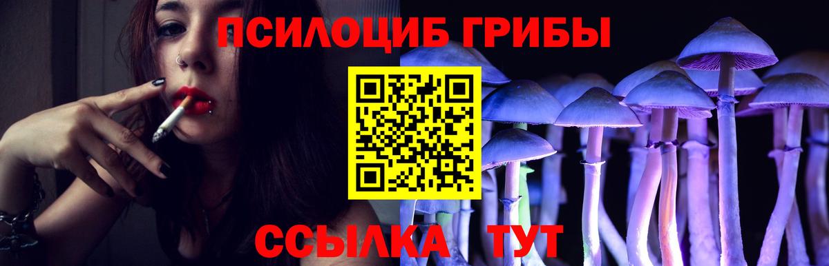 Псилоцибиновые грибы мицелий Заводоуковск